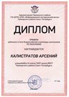 2018-2019 Калистратов Арсений 8л (РО-экономика)